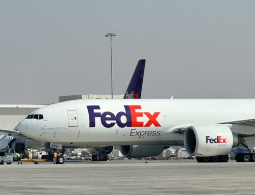 Ketogenic Diet Recipe with Avocado