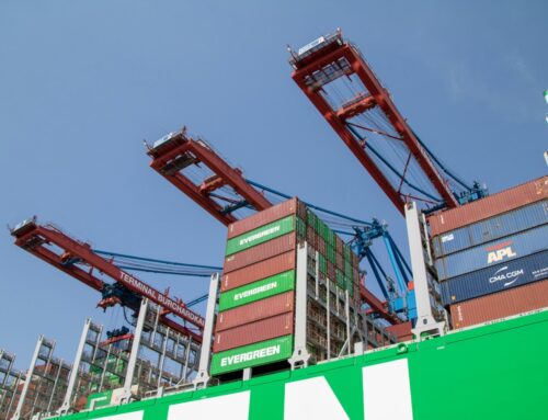 Fruit Platter with Banana, Mango, Berries and Orange