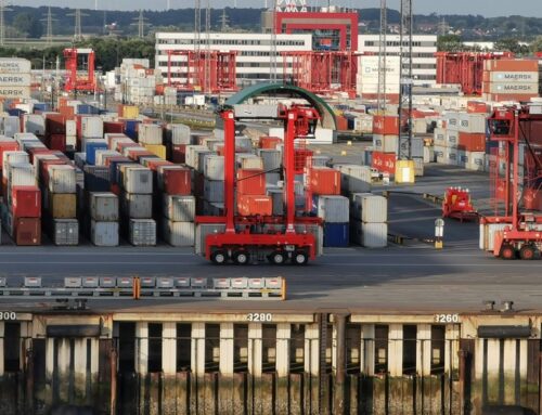 Meal Prep: Korean Bibimbap with Kimchi